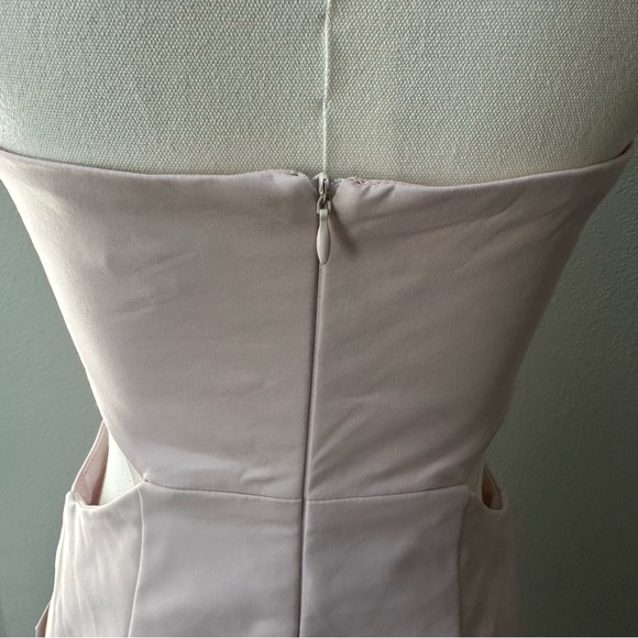 NWT Tobi Into The Night Strapless Dress in Blush - Picture 7 of 10